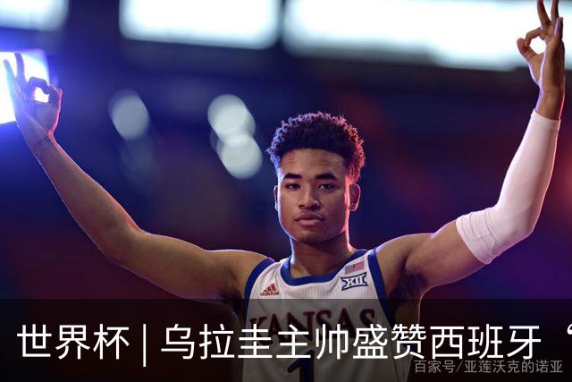 世界杯 | 乌拉圭主帅盛赞西班牙“精致足球”