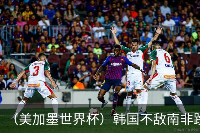 （美加墨世界杯）韩国不敌南非跌至小组第三 出线前景待定